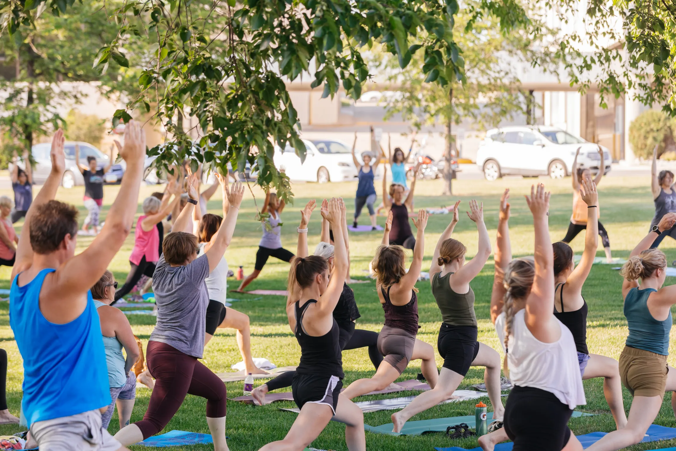 People doing yoga together in a park.