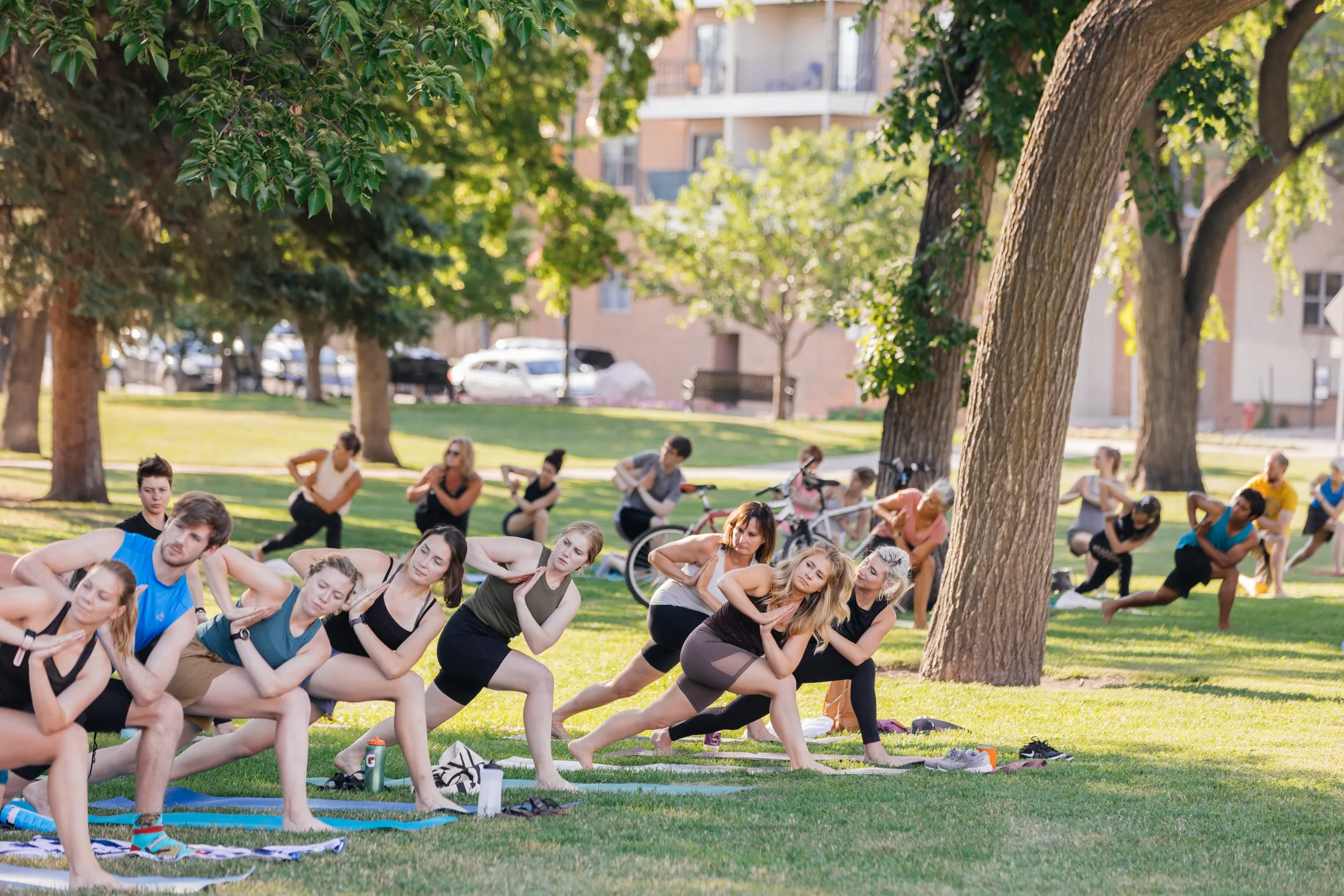 People doing yoga in a park together.