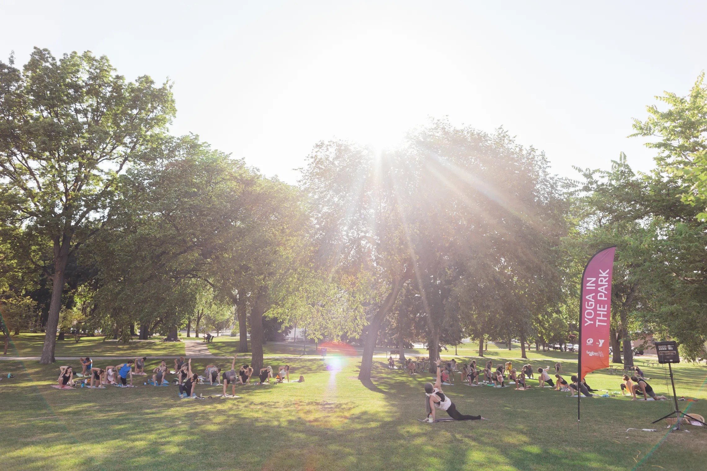 The sun shines bright as people do a YMCA yoga class in a park.