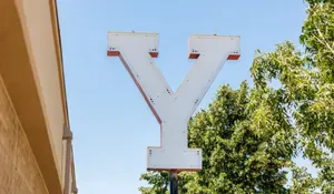 Y sign